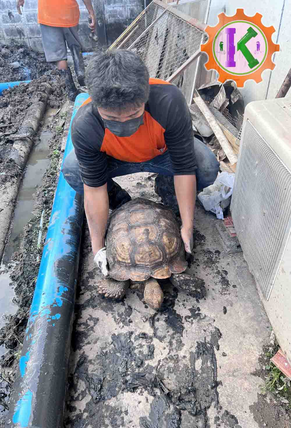 ท่อระบายน้ำ26